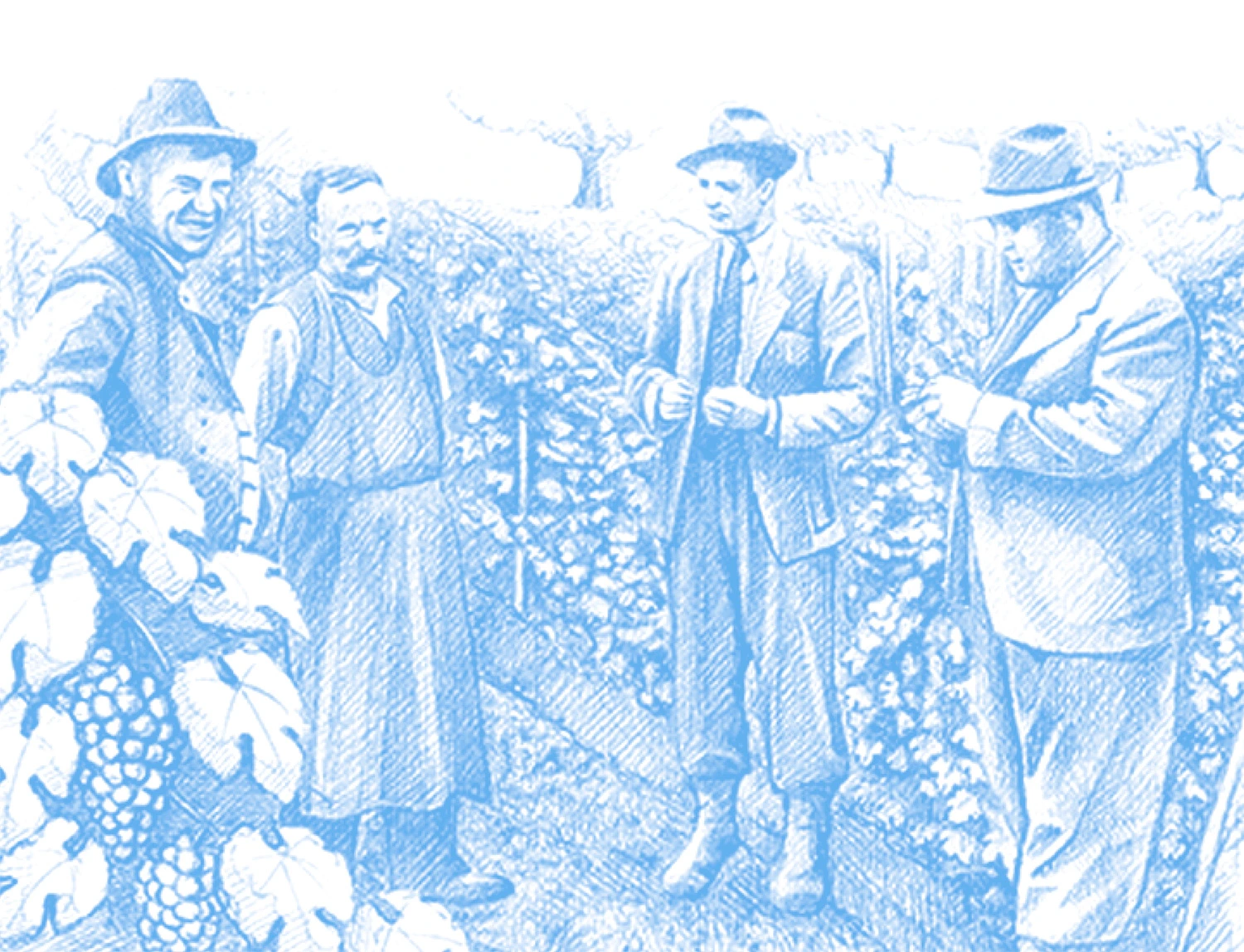 Původní modrá ilustrace Domaine Hugo s vinaři ve vinohradu